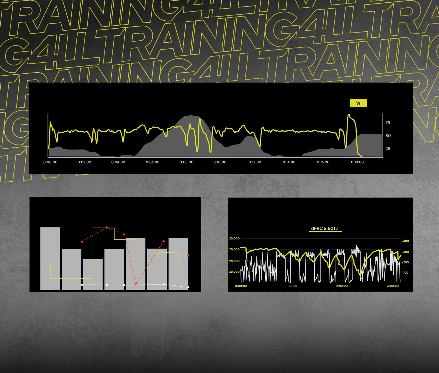 Gráficas de potencia y rendimiento de entrenamiento